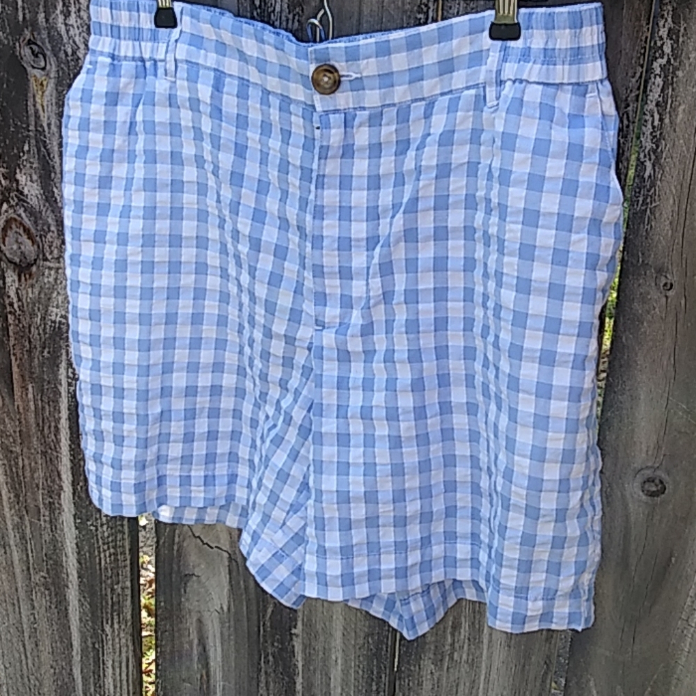 Southern Proper Blue and White Plaid Shorts Size L - Picture 4 of 6